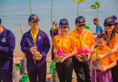 Rotary E-Club Dolphin Pattaya International plant 1,000 mangrove trees