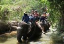 Rotary Club of Dolphin Pattaya invite CPDC children trip to Pattaya Elephant Village